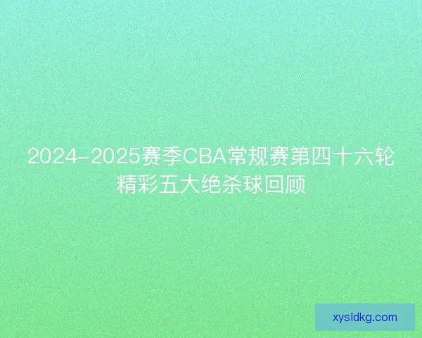 2024-2025赛季CBA常规赛第四十六轮精彩五大绝杀球回顾