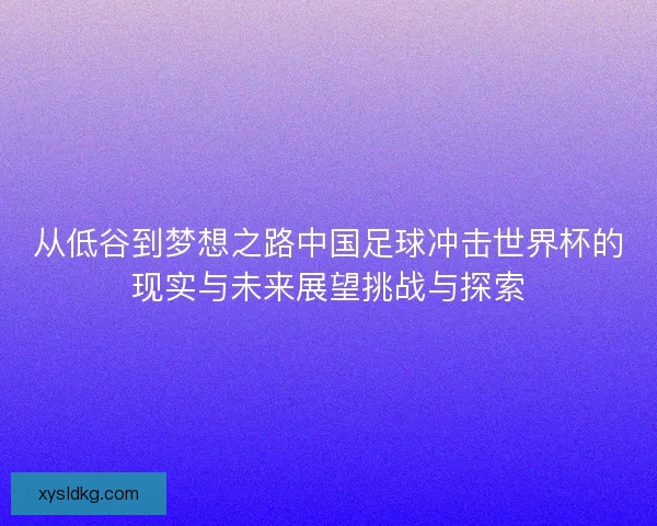 从低谷到梦想之路中国足球冲击世界杯的现实与未来展望挑战与探索